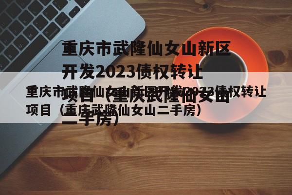 重庆市武隆仙女山新区开发2023债权转让项目（重庆武隆仙女山二手房）