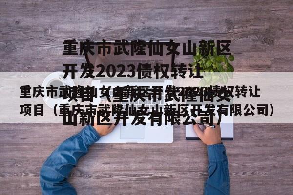 重庆市武隆仙女山新区开发2023债权转让项目（重庆市武隆仙女山新区开发有限公司）