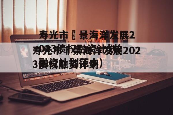 寿光市昇景海洋发展2023债权融资计划(融资计划范本)