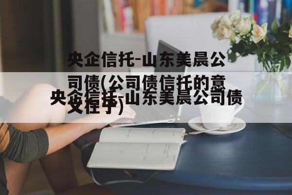 央企信托-山东美晨公司债(公司债信托的意义在于)