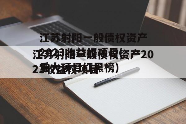 江苏射阳一般债权资产2023收益权项目(重大项目红黑榜)