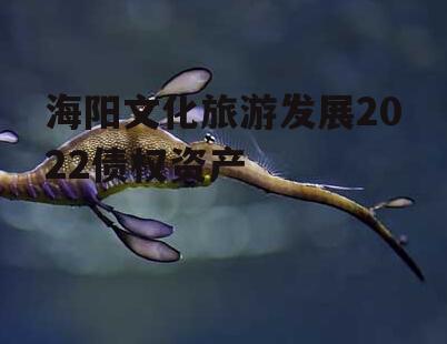 海阳文化旅游发展2022债权资产