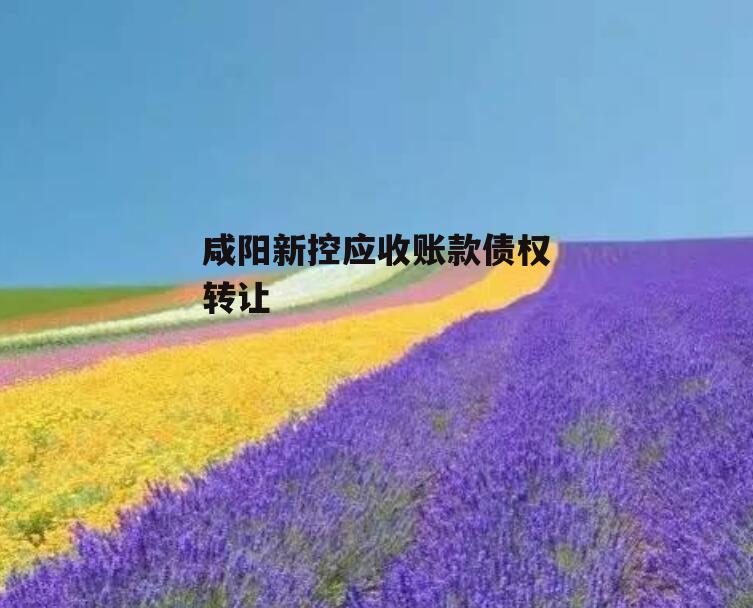 咸阳新控应收账款债权转让