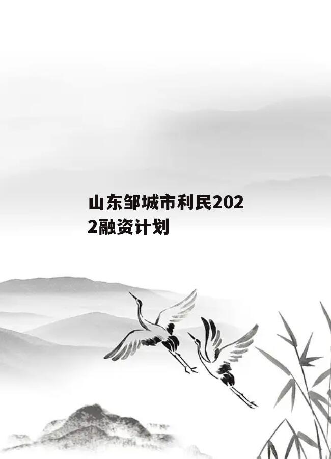 山东邹城市利民2022融资计划