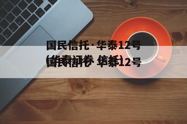 国民信托·华泰12号(华泰证券 信托)