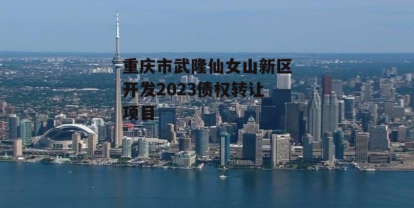 重庆市武隆仙女山新区开发2023债权转让项目