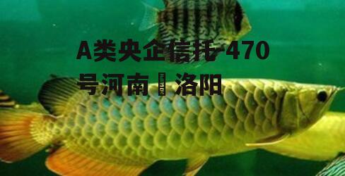 A类央企信托-470号河南•洛阳