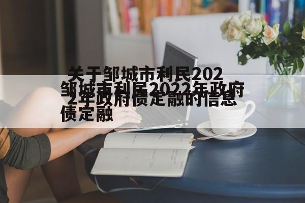 关于邹城市利民2022年政府债定融的信息