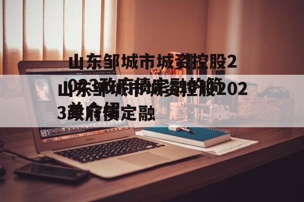 山东邹城市城资控股2023政府债定融的简单介绍