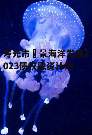 寿光市昇景海洋发展2023债权融资计划