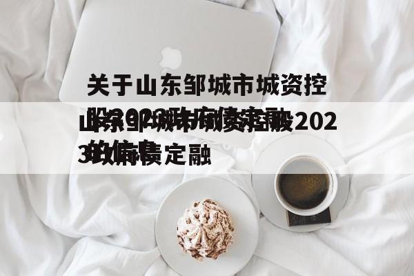 关于山东邹城市城资控股2023政府债定融的信息