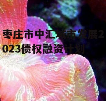 枣庄市中汇城市发展2023债权融资计划