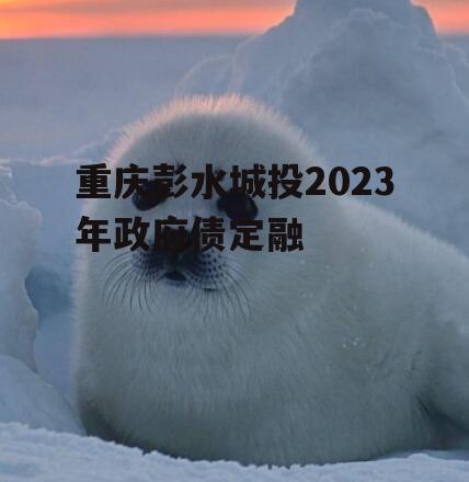 重庆彭水城投2023年政府债定融