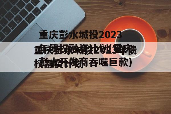 重庆彭水城投2023年债权融资计划(重庆彭水开发商吞噬巨款)