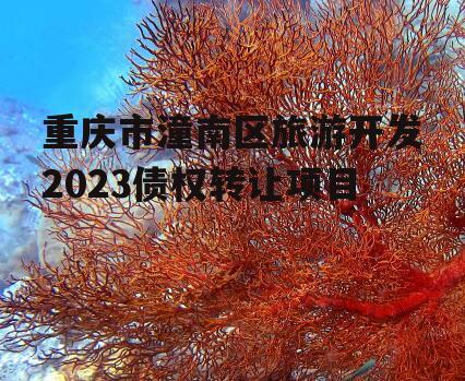 重庆市潼南区旅游开发2023债权转让项目