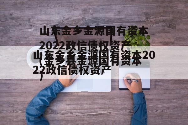 山东金乡金源国有资本2022政信债权资产(金乡县金源国有资本)