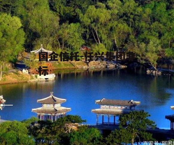 国企信托-任兴集团非标