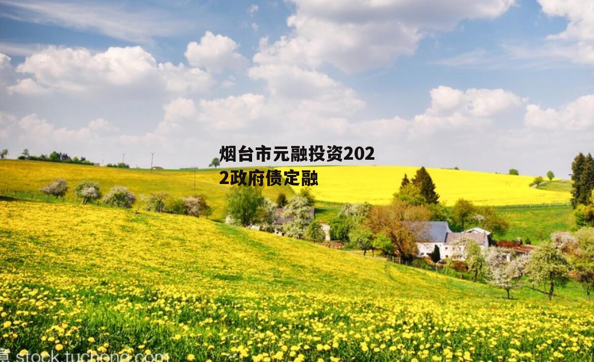 烟台市元融投资2022政府债定融