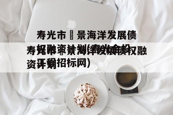 寿光市昇景海洋发展债权融资计划(寿光金投工程招标网)