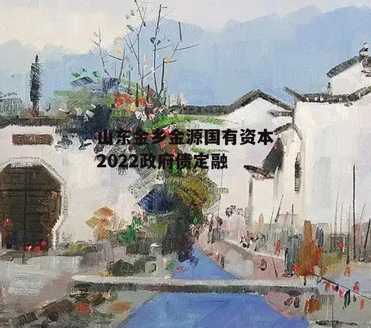 山东金乡金源国有资本2022政府债定融