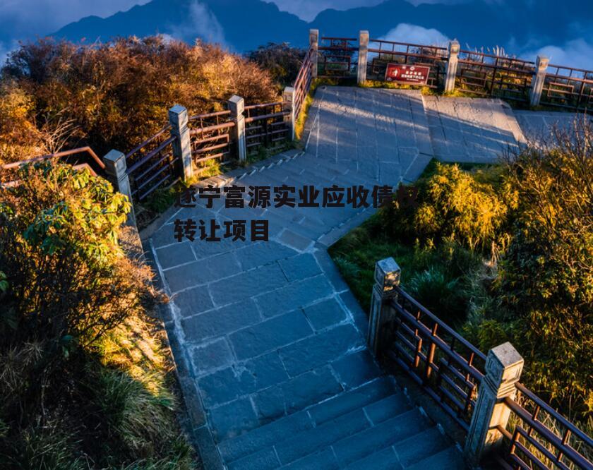 遂宁富源实业应收债权转让项目