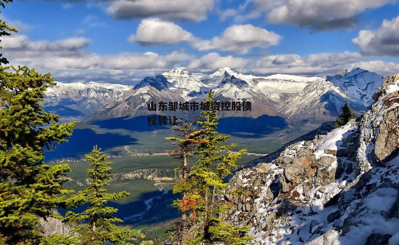 山东邹城市城资控股债权转让