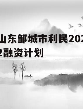 山东邹城市利民2022融资计划