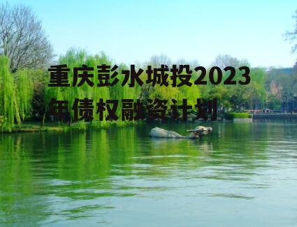 重庆彭水城投2023年债权融资计划