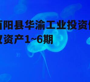 酉阳县华渝工业投资债权资产1~6期