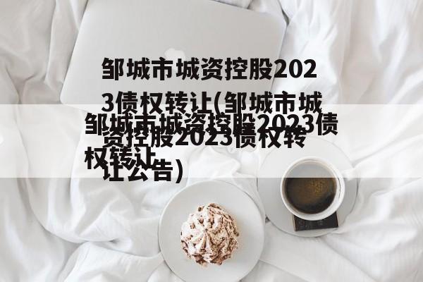 邹城市城资控股2023债权转让(邹城市城资控股2023债权转让公告)