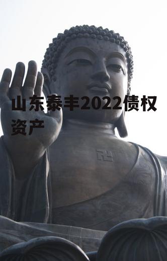 山东泰丰2022债权资产