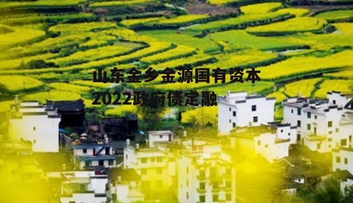 山东金乡金源国有资本2022政府债定融