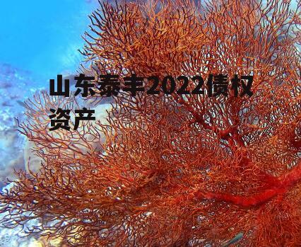 山东泰丰2022债权资产