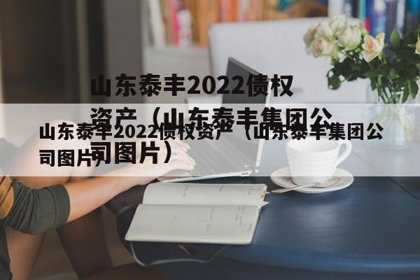 山东泰丰2022债权资产（山东泰丰集团公司图片）