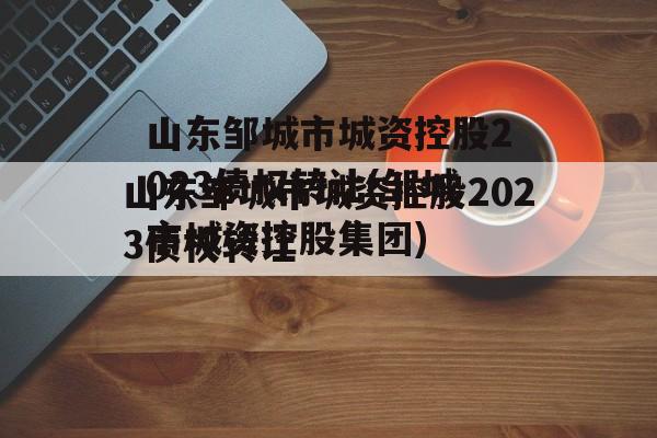 山东邹城市城资控股2023债权转让(邹城市城资控股集团)