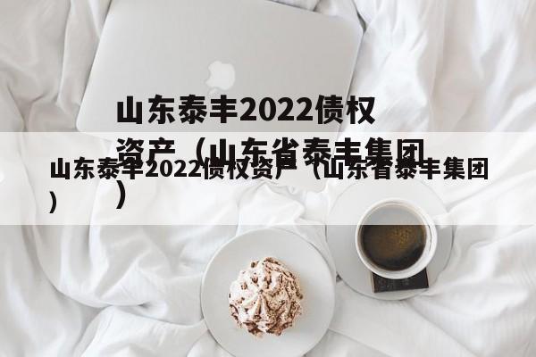 山东泰丰2022债权资产（山东省泰丰集团）