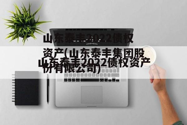 山东泰丰2022债权资产(山东泰丰集团股份有限公司)