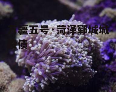 万疆五号·菏泽郓城城投债