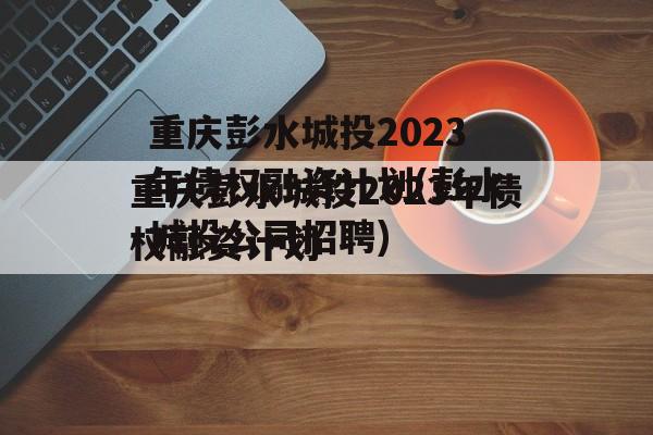 重庆彭水城投2023年债权融资计划(彭水城投公司招聘)