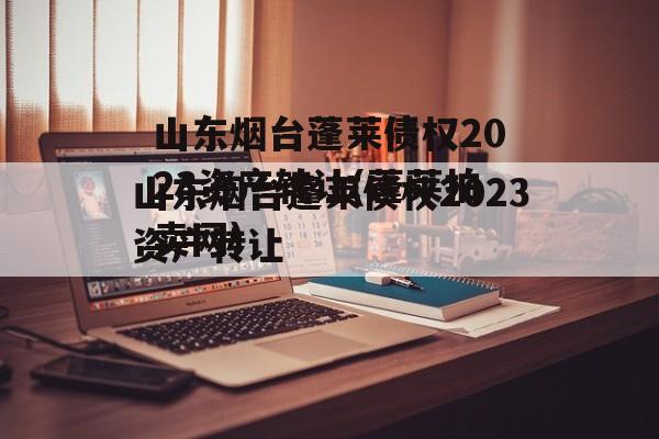 山东烟台蓬莱债权2023资产转让(蓬莱拍卖网)