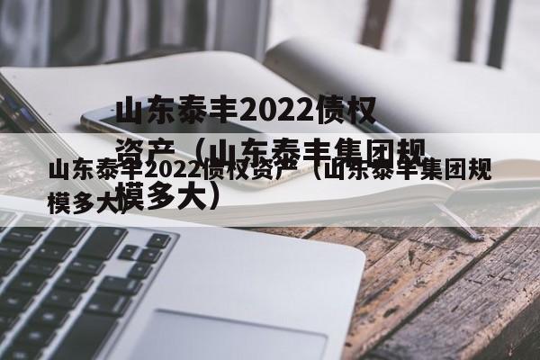 山东泰丰2022债权资产（山东泰丰集团规模多大）