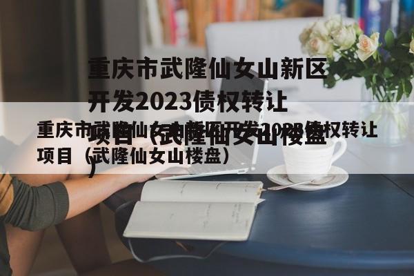 重庆市武隆仙女山新区开发2023债权转让项目（武隆仙女山楼盘）