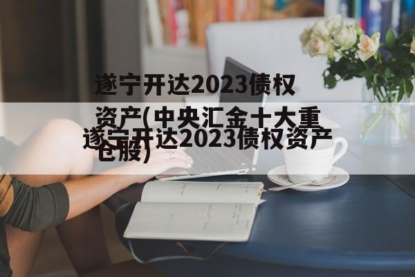 遂宁开达2023债权资产(中央汇金十大重仓股)