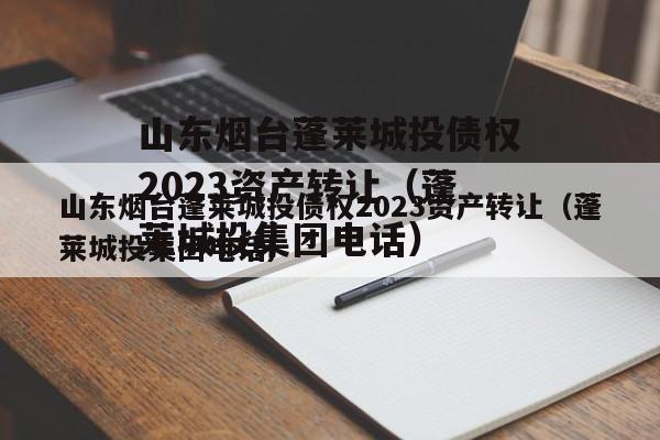 山东烟台蓬莱城投债权2023资产转让（蓬莱城投集团电话）