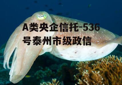 A类央企信托-536号泰州市级政信