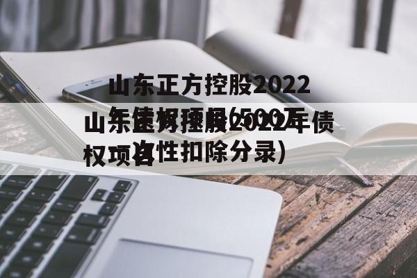 山东正方控股2022年债权项目(500万一次性扣除分录)