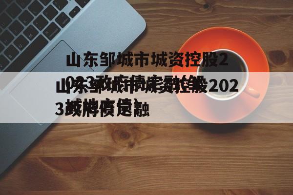 山东邹城市城资控股2023政府债定融(邹城地方债)