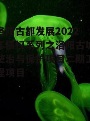 洛阳古都发展2022年债权系列之洛阳古城整治与保护项目二期工程项目