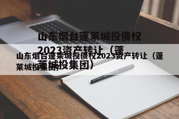 山东烟台蓬莱城投债权2023资产转让（蓬莱城投集团）