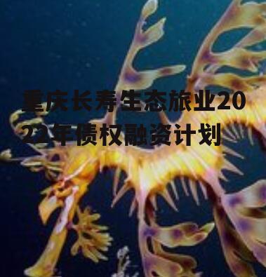 重庆长寿生态旅业2022年债权融资计划